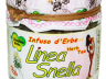 LINEA SNELLA