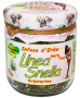 LINEA SNELLA